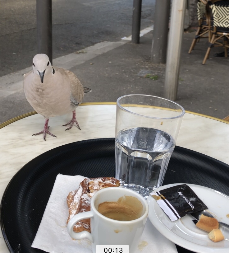 Photo n° 1 de l'avis de Roger.o fait le 13/07/2021 à 17:20