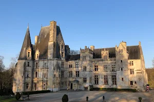 Château de Fontaine-Henry image