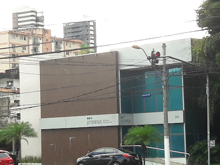 Pronatus - Medicina Reprodutiva - Pronatus - Medicina Reprodutiva