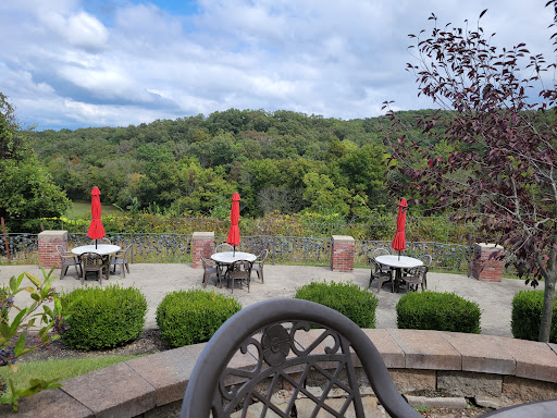 Winery «Seven Springs Winery», reviews and photos, 846 Winery Hills Estates, Linn Creek, MO 65052, USA