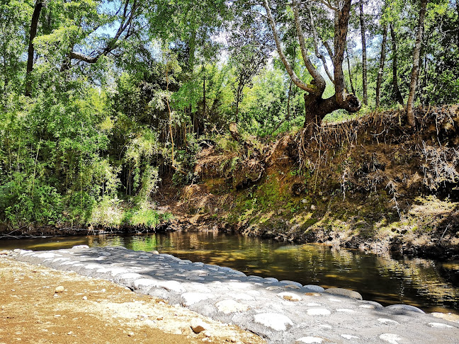 Camping Paila Cura - San Fabián