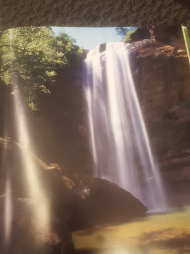 Book Store «Books-A-Million», reviews and photos, 1705-C Norman Dr, Valdosta, GA 31601, USA