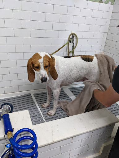 Pet Supply Store «Northside Grange», reviews and photos, 4116 Hamilton Ave, Cincinnati, OH 45223, USA