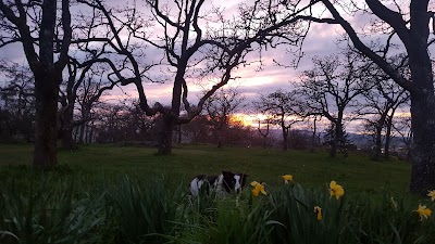 Photos of Summit Park