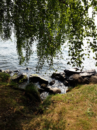 Park «Chism Beach Park», reviews and photos, 9600 SE 11th St, Bellevue, WA 98004, USA