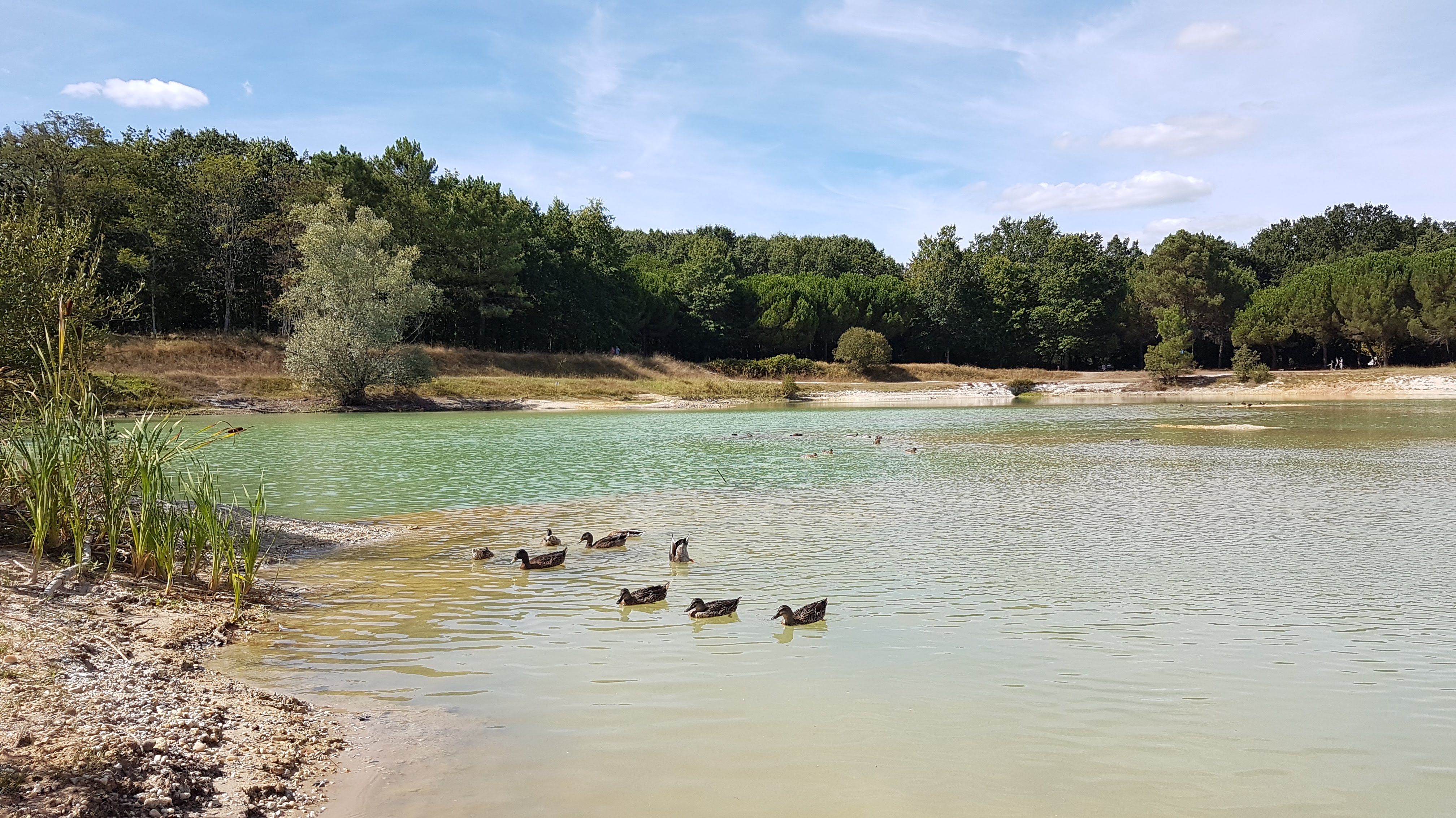 Photo n° 2 de l'avis de Alae. fait le 04/10/2019 à 16:23