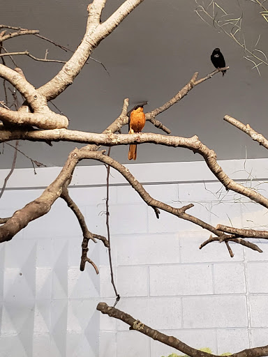 Zoo «Capron Park Zoo», reviews and photos, 201 County St, Attleboro, MA 02703, USA