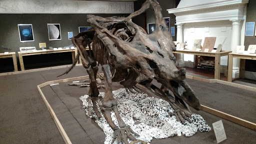 Museum «Port Huron Museum», reviews and photos, 1115 6th St, Port Huron, MI 48060, USA