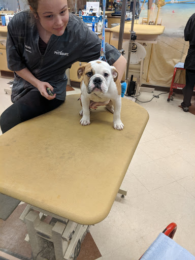 Pet Supply Store «PetSmart», reviews and photos, 734 E Big Beaver Rd, Troy, MI 48083, USA