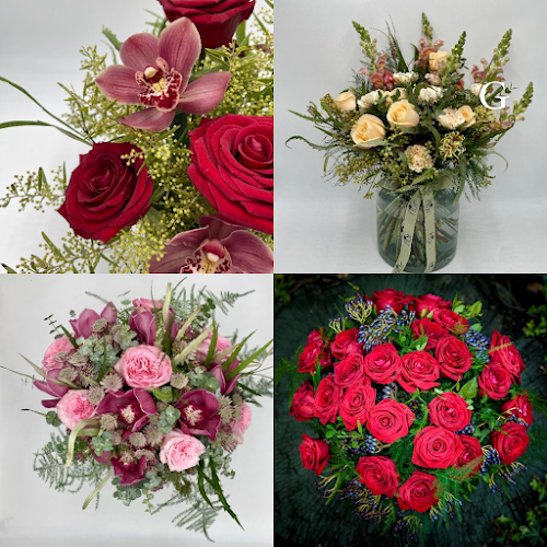 24B Windsor Rd, London NW2 5DS, United Kingdom