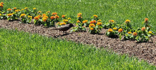 Museum «Smithsonian Castle», reviews and photos, 1000 Jefferson Dr SW, Washington, DC 20560, USA