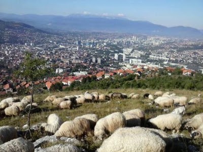 Photos of Kurbani Centar