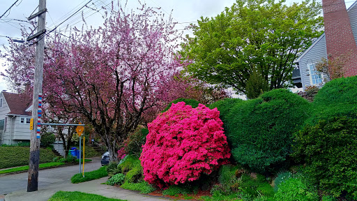 Park «Sewallcrest Park», reviews and photos, SE 31st Ave & Market St, Portland, OR 97214, USA