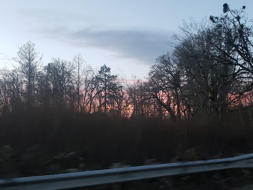 Golf Club «Emerald Valley Golf Club», reviews and photos, 83301 Dale Kuni Rd, Creswell, OR 97426, USA