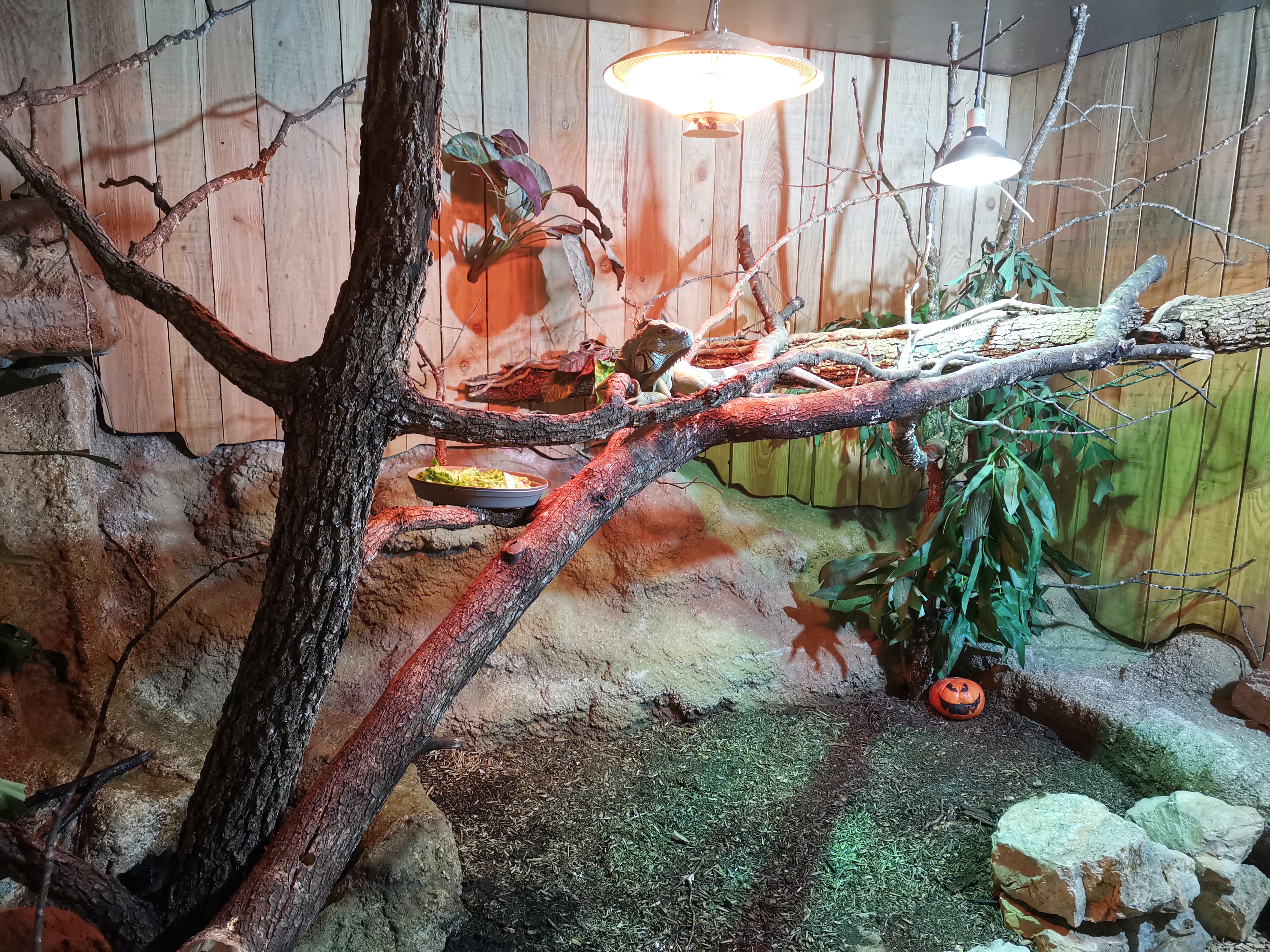 Photo n° 18 de l'avis de Jerome.a fait le 23/10/2021 à 18:04