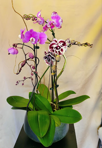 Florist «Flowers By Patti», reviews and photos, 3430 Lakeside Dr, Reno, NV 89509, USA