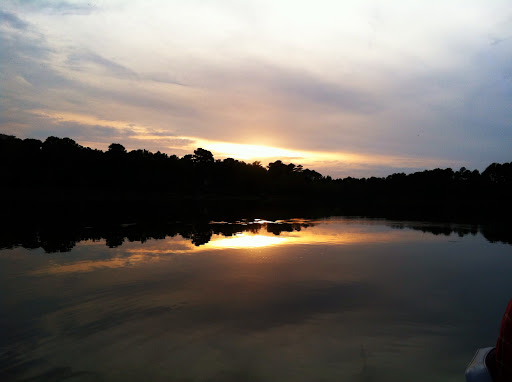 Moving Company «Welcome Home Moving Solutions», reviews and photos, 2100 N Hwy 360, Grand Prairie, TX 75050, USA