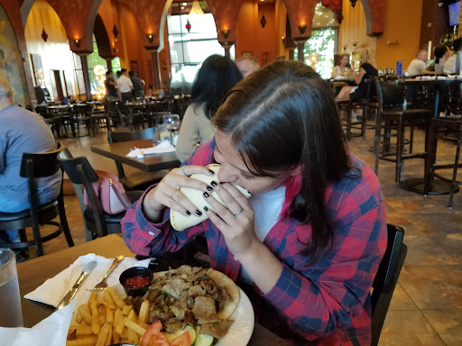 Mediterranean Restaurant «Mediterranean Cruise Cafe», reviews and photos, 12500 Nicollet Ave, Burnsville, MN 55337, USA