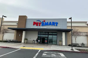 PetSmart image