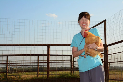 1712 D St, Floresville, TX 78114, USA