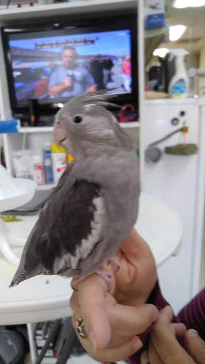 Pet Supply Store «Pet World», reviews and photos, 6527 Centralia Rd, Chesterfield, VA 23832, USA