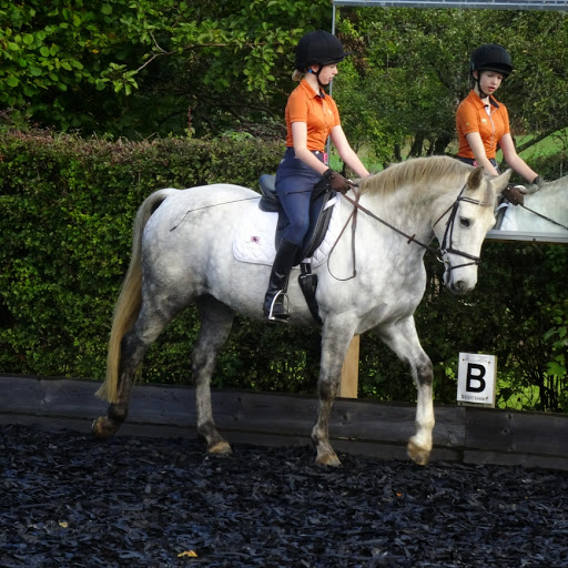 Eland Lodge Equestrian Centre