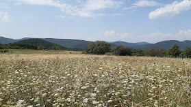 Nagyparti panoráma, Vágáshuta