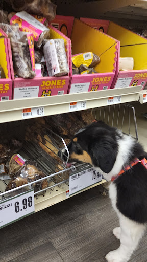 Pet Supply Store «Pet Supplies Plus», reviews and photos, 283 Middle Turnpike W, Manchester, CT 06040, USA