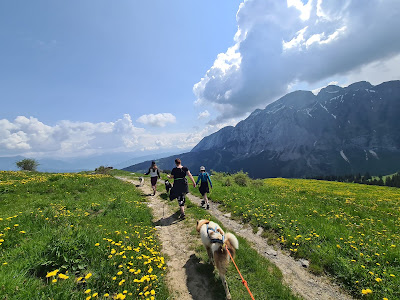 YUME à Mont-Saxonnex