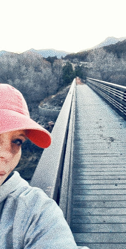 Bicycle Repair Shop «Criterium Bicycles», reviews and photos, 6150 Corporate Dr, Colorado Springs, CO 80919, USA