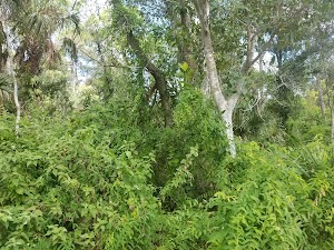 6 Acre Wood Park - photo 24