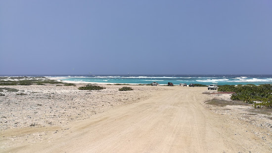 Bachelor's beach