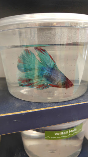 Pet Supply Store «Petco Animal Supplies», reviews and photos, 11620 W 95th St, Overland Park, KS 66214, USA