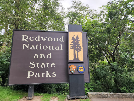 National Park «Redwood National and State Parks», reviews and photos