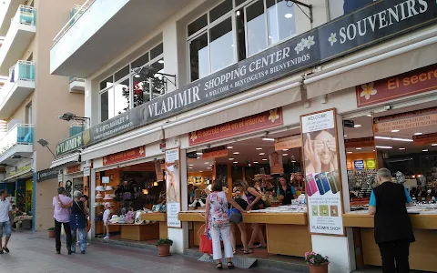 Vladimir Shopping Center image