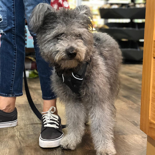 Pet Supply Store «Pet Barn Inc», reviews and photos, 167 Jennifer Rd # G, Annapolis, MD 21401, USA