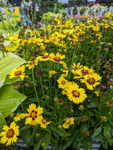 Department Store «Walmart Supercenter», reviews and photos, 6721 Chesapeake Center Dr, Glen Burnie, MD 21060, USA