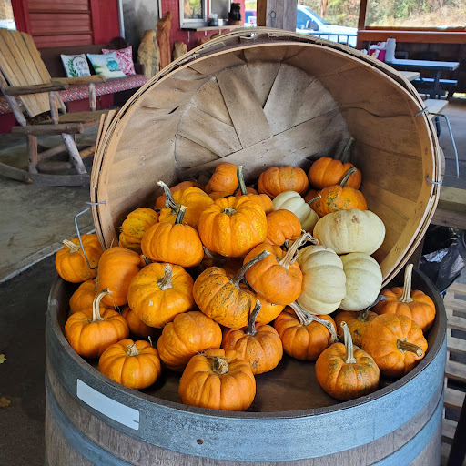 Barbecue Restaurant «Farm House Produce», reviews and photos, 4690 GA-52, Dahlonega, GA 30533, USA