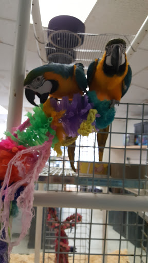 Pet Store «WorldWide Fish & Pets», reviews and photos, 61 Amity Rd, New Haven, CT 06515, USA