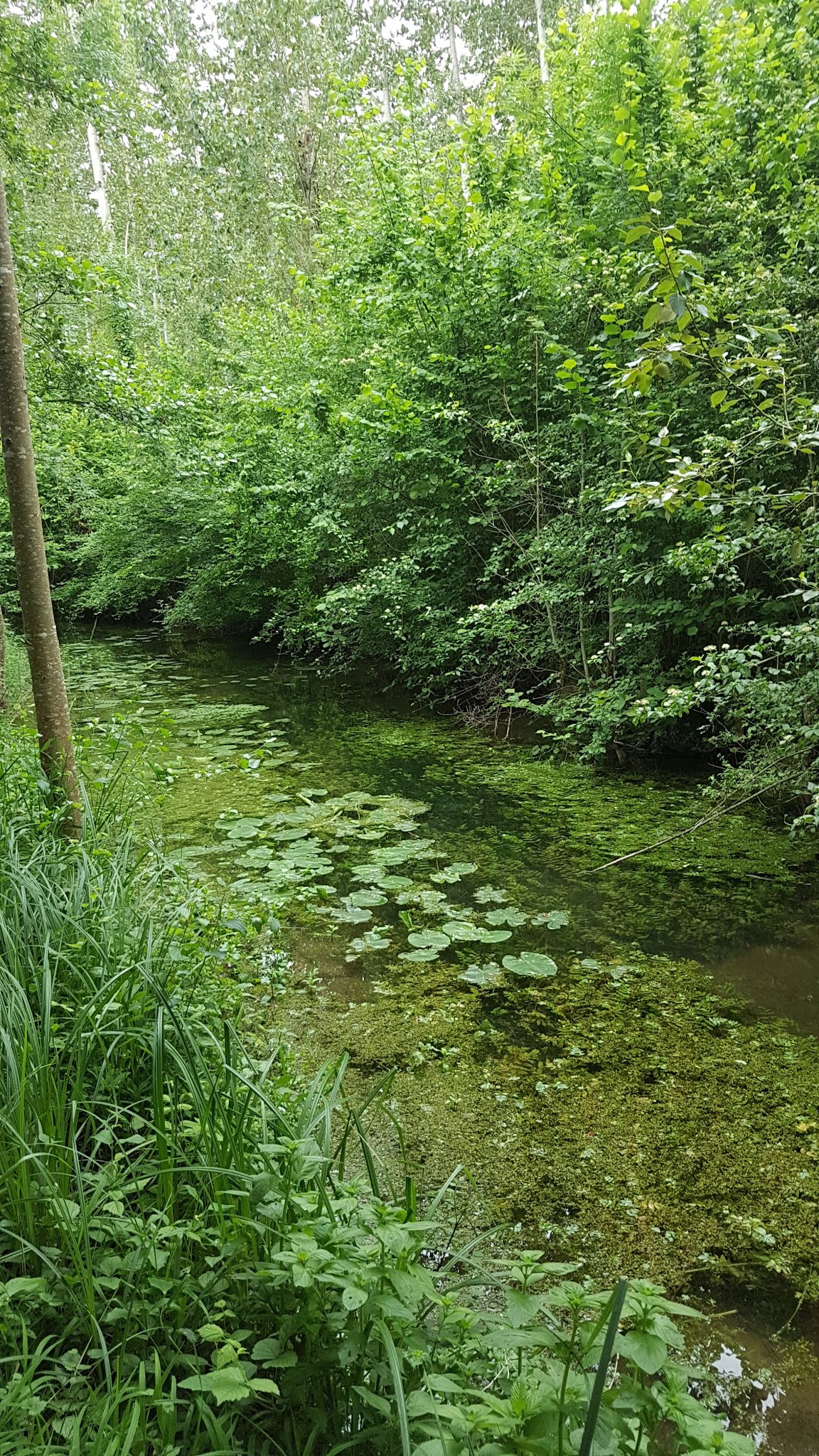 Photo n° 5 de l'avis de MESQUIDA.E fait le 17/06/2019 à 08:39