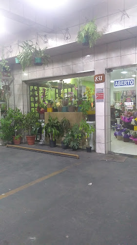 Floricultura Frey