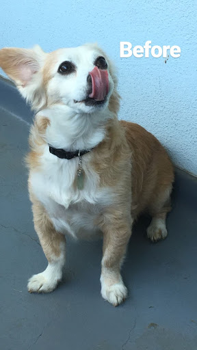 Pet Supply Store «PetSmart», reviews and photos, 13720 Riverside Dr, Sherman Oaks, CA 91423, USA