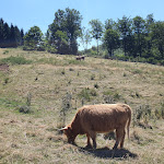Photo n°1 de l'avis de Lorenzo.a fait le 22/08/2023 à 06:00 sur le  Agriturismo Alpe di Sara Fiumalbo, Ristorante per Cerimonie Fiumalbo à Fiumalbo