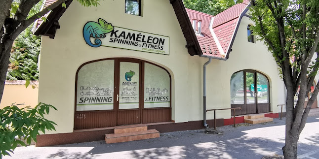 Kaméleon Spinning & Fitness - Komárom