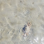 Photo n°4 de l'avis de Meik.� fait le 22/06/2021 à 15:45 sur le  Strandhaus Döse à Cuxhaven