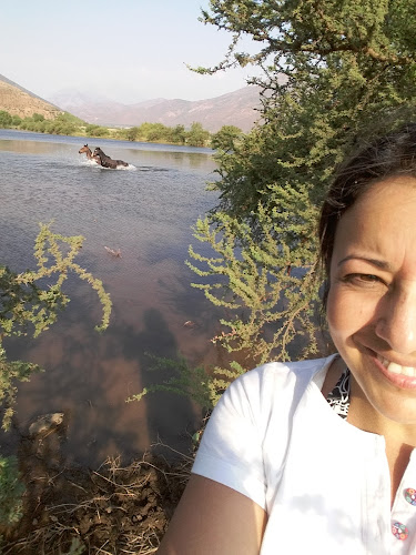 Cancha Paihuen - Cabildo