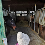 Photo n°3 de l'avis de Neeya.a fait le 04/03/2022 à 16:05 sur le  Fattoria Zivieri à Sasso Marconi