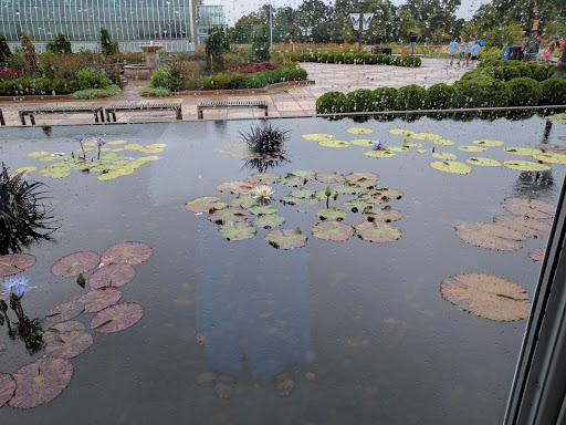 Zoo «Como Park Zoo & Conservatory», reviews and photos, 1225 Estabrook Dr, St Paul, MN 55103, USA