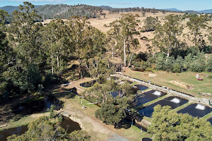 Buxton Trout & Salmon Farm image