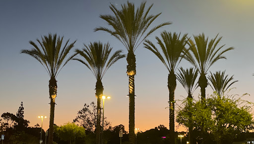 Shopping Mall «La Jolla Village Square», reviews and photos, 8657 Villa La Jolla Dr, La Jolla, CA 92037, USA